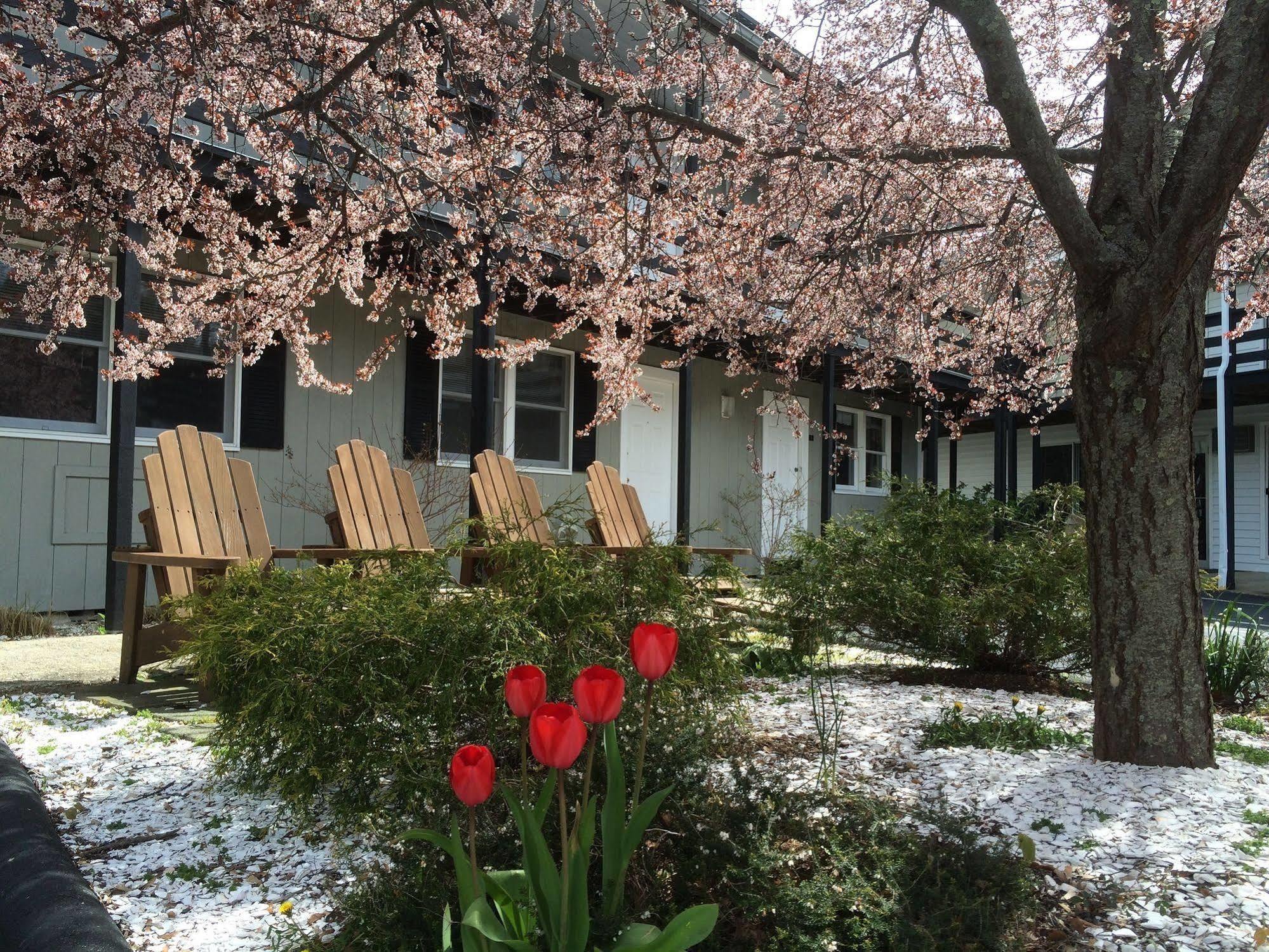 The Even'Tide Motel Wellfleet Exterior photo